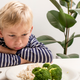 Illustration for article titled These fancy new food separators are just pandering to picky eater kids
